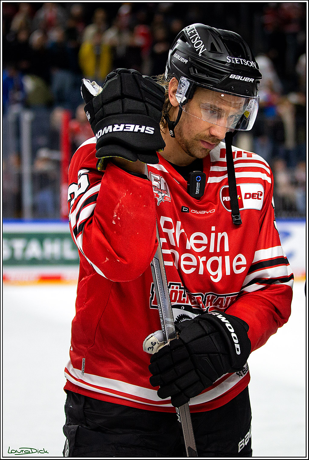 PENNY DEL; Koelner Haie- Loewen Frankfurt; Koeln, 01.12.2022
